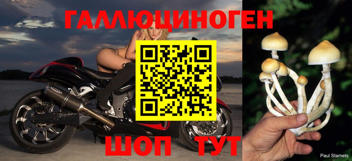 Уфа  Галлюциногенные грибы мицелий  Вход с VPN 